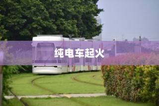 电车自燃现象探究，品牌分析与启示