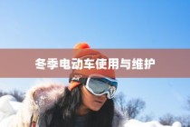 公司电车电池选择探讨及决策参考