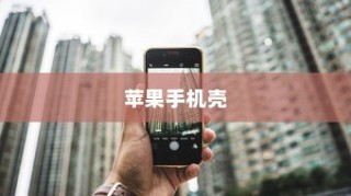 苹果手机壳寓意的深度解读