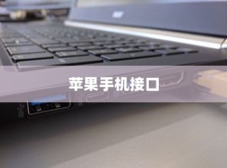 苹果手机接口会用Type-C吗？一场技术革新与商业决策的博弈