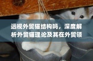 深度解析外贸猫理论，应用与启示于外贸领域的远视结构探讨