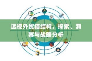 远视外贸猫结构，深度探索、战略洞察与分析