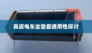 真皮电车坐垫套的通用性与个性化定制探索
