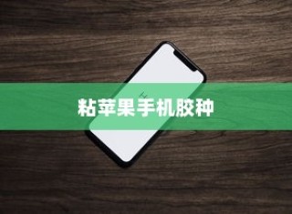 粘苹果手机用什么胶