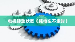 揭秘电动车动力系统运作机制，电机在纯电车不走时的运转状态探讨