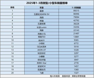 一季度微型/小型车市场风云榜，海鸥排名第三，九款车型销量破万