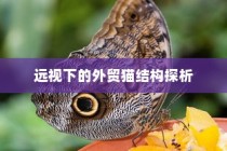 电车静谧之谜，为何电车在无音乐时仍发出独特声响？