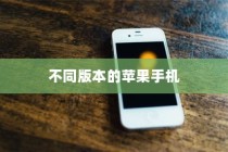 买苹果手机选什么版—全面解析不同版本的苹果手机及其特点