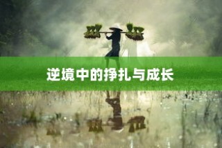 逆境中的挣扎与成长，大学录取失利后的反思与启示之路
