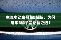 主流电动车品牌B深度解析，为何选择电车B牌子是明智的决策？