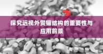 远视外贸猫结构的重要性及应用前景探究