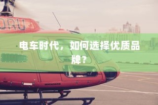 二十万左右预算纯电车选购攻略，如何挑选最佳车型？