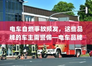香港大学云南历年录取情况深度解析