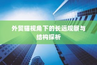 外贸猫视角下的长远观察与深度探析