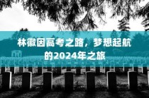 林徽因高考之路，梦想起航的2024年之旅