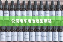 公司电车电池选型策略指南