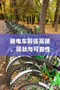 二十万左右预算，纯电车选购攻略