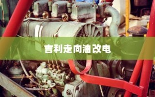 选购电车指南，解析不同品牌，如何挑选优质电车！