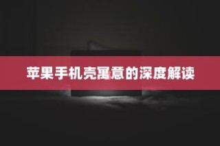 苹果手机壳寓意的深度解读