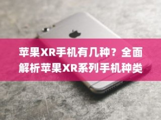 全面解析，苹果XR系列手机种类及其特点