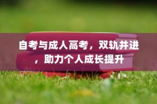 自考与成人高考双轨并进，助力个人成长与提升之路