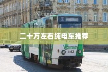 二十万左右纯电车推荐，绿色出行轻松启程