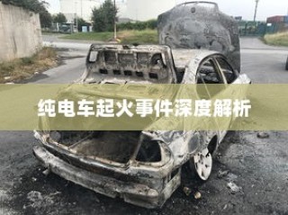 纯电车起火事件深度解析，涉及车型与原因的探讨及应对之道