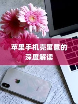 苹果手机壳寓意的深度解读