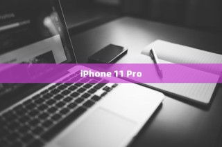 （一）iPhone 11 Pro概述