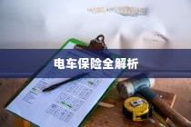 电车保险全解析，涵盖全险购买及保险种类选择探讨