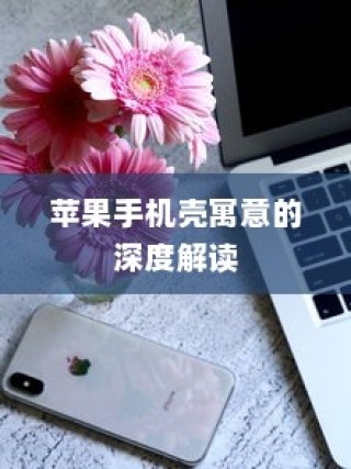 苹果手机壳寓意的深度解读