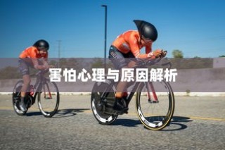 高要求下的外贸鞋业质量标准挑战与品质解析探究