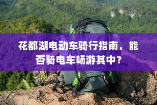 五菱电车充电详解，高效便捷，绿色出行无忧充电之旅