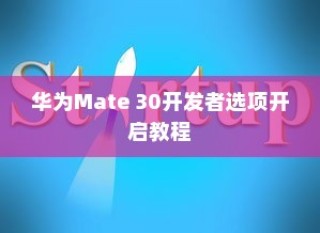 华为Mate 30开发者选项开启教程