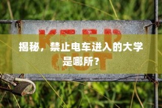 揭秘，哪所大学禁止电车进入？