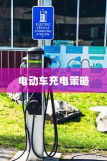 电动车充电策略深度解析，隔天充电的灵活性与潜在影响探讨