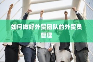 外贸团队外贸员管理优化策略，打造高效团队之道