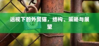 电车出行至高陵，可能性分析与注意事项详解指南
