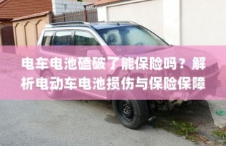 外贸猫结构探索，深度观察与分析