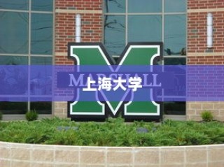 上海大学招生录取全面解析