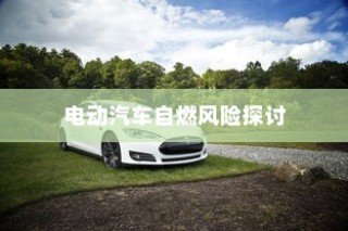 电动汽车停车状态下的安全性解析，自燃风险探讨与防范措施