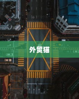 外贸猫，结构、策略与发展视角下的全方位深度洞察