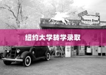 纽约大学转学录取托福之路，探索机遇，成就成长之路