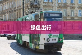 纯电车起火事件深度解析，涉及车型与原因的探讨及应对之道