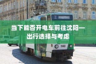 当下沈阳的电车出行选择与考虑