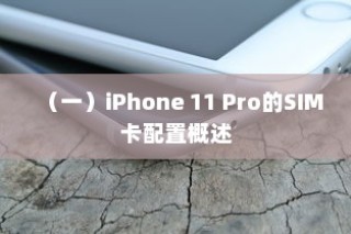 （一）iPhone 11 Pro的SIM卡配置概述