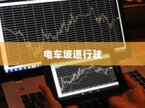 电车坡道行驶能耗研究，坡道对电车能耗的影响分析及其优化策略