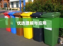 电车两轮上牌照知识解析与应用指南