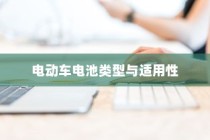 公司用车电池选型指南，电动车电池类型与适用性分析