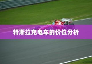 纯电车起火车型深度剖析